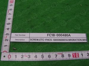 SCREW-FHCS-S60060001A