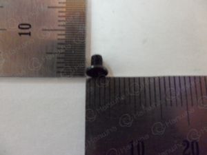 PAN-CAP-SCREW-M25L35